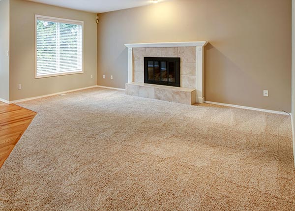 carpet and flooring